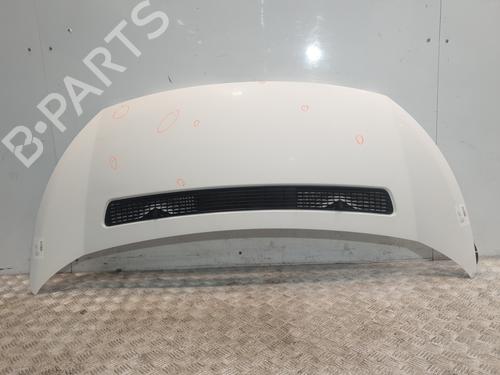 hood-fiat-doblo-cargo-263_-2010-30091143 main image