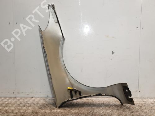 Left front fenders PEUGEOT 407 Coupe (6C_) 2.0 HDi | BP29052844C41 