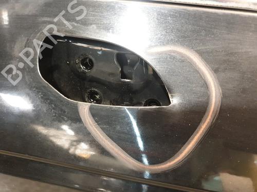 Right front door AUDI A4 B9 (8W2, 8WC) 2.0 TDI | BP30191369C3 