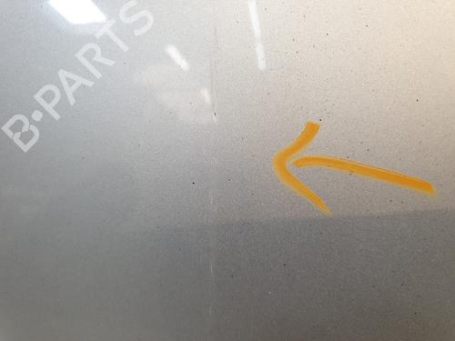 Hood RENAULT CLIO III (BR0/1, CR0/1) 1.5 dCi (C/BR0G, C/BR1G) | BP26191919C1 