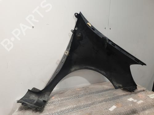 Left front fenders RENAULT CLIO III (BR0/1, CR0/1) 1.5 dCi (BR17, CR17) | BP32311760C41