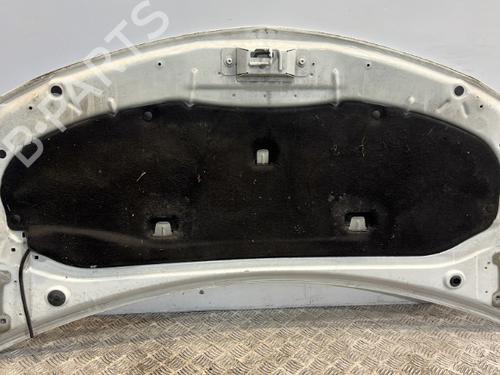 Hood RENAULT CLIO III (BR0/1, CR0/1) 1.5 dCi | BP20381293C1 