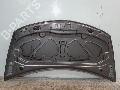 Hood RENAULT CLIO III (BR0/1, CR0/1) 1.2 16V (BR02, BR0J, BR11, CR02, CR0J, CR11) | BP20374462C1 