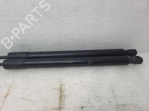 Tailgate lift support FORD B-MAX (JK) 1.0 EcoBoost | BP20674126C138 