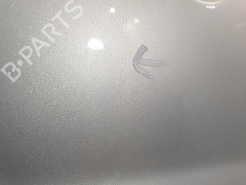 Right front door RENAULT KANGOO Express (FC0/1_) 1.5 dCi (FC07, FC1R) | BP25653148C3 
