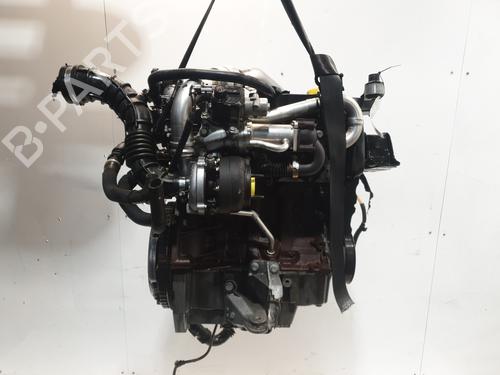 Used Engine RENAULT CLIO III (BR0/1, CR0/1) 1.5 dCi (BR17, CR17) (86 hp) 31043641