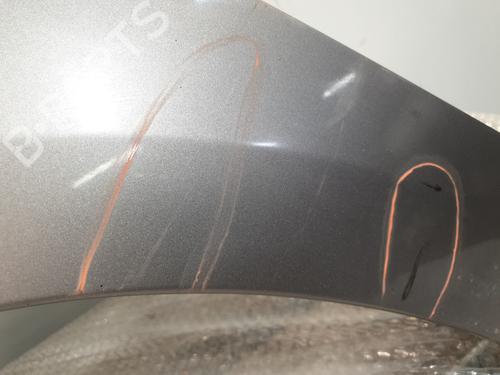 Left front fenders RENAULT SCÉNIC III (JZ0/1_) 1.5 dCi (JZ02, JZ0R) | BP30193440C41 