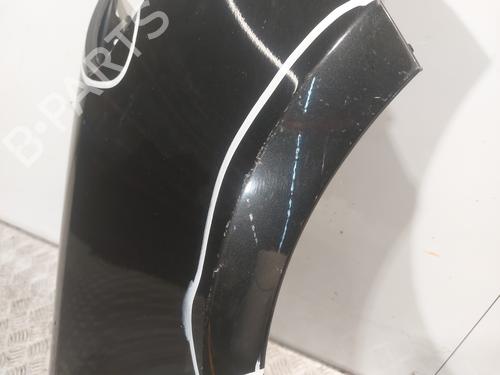 Right front fenders RENAULT CLIO III (BR0/1, CR0/1) 1.5 dCi (C/BR0G, C/BR1G) | BP21823420C42 