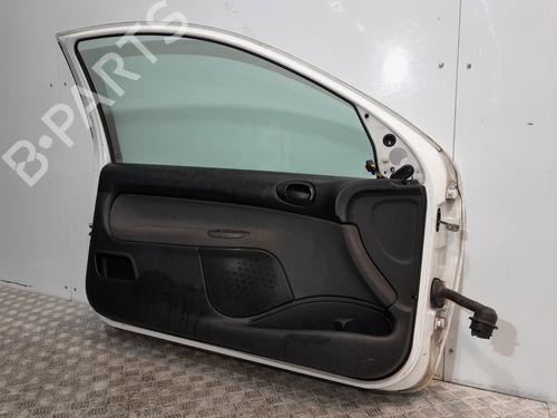 Left front door PEUGEOT 206+ (2L_, 2M_) 1.4 HDi eco 70 | BP21823437C2 