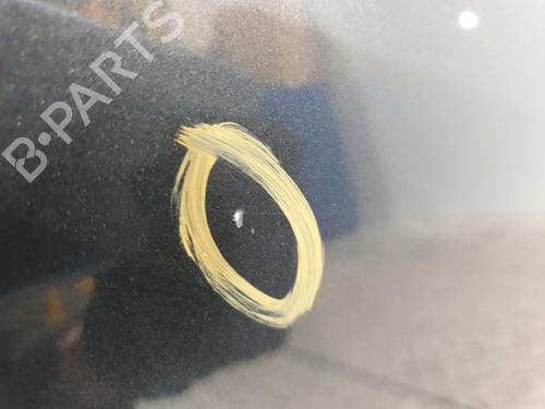 Hood RENAULT CLIO III (BR0/1, CR0/1) 1.2 16V Hi-Flex (BR1U, CR1U) | BP25820138C1 