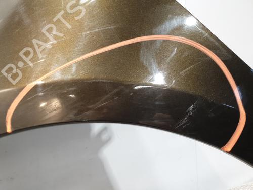 Left front fenders RENAULT CLIO III (BR0/1, CR0/1) 1.2 16V (BR02, BR0J, BR11, CR02, CR0J, CR11) | BP30193330C41 