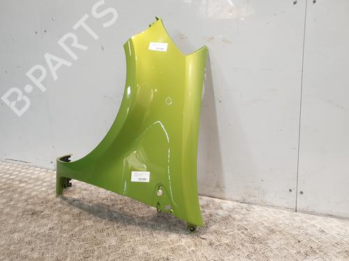 Left front fenders RENAULT CLIO III (BR0/1, CR0/1) 1.5 dCi (C/BR0G, C/BR1G) | BP29052729C41 