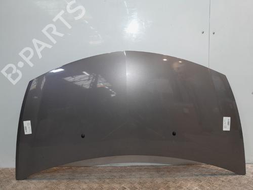 Hood RENAULT CLIO III (BR0/1, CR0/1) 1.2 16V (BR02, BR0J, BR11, CR02, CR0J, CR11) | BP20374462C1 