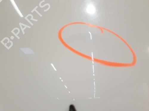 Hood DACIA DUSTER (HS_) 1.6 16V Hi-Flex | BP30146675C1 