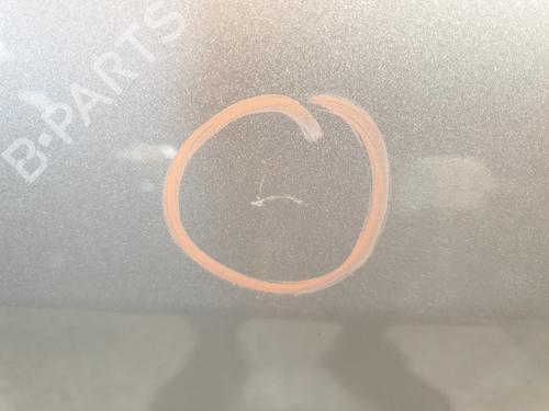 Left front door PEUGEOT 407 Coupe (6C_) 2.0 HDi | BP29053741C2 