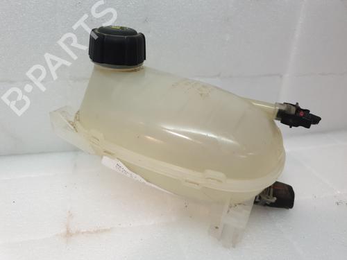 expansion-tank-renault-clio-v-b7_-2019-26290439 main image