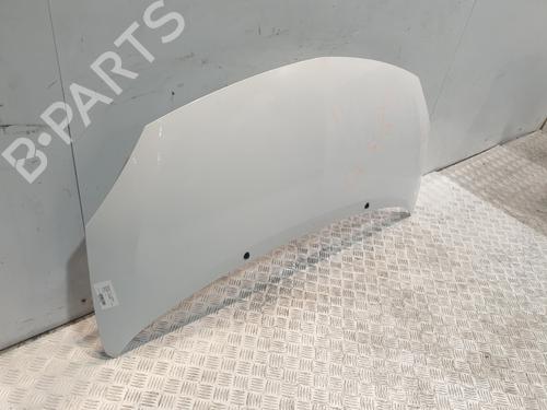 Capot RENAULT TWINGO II (CN0_) 1.2 (CN0D) | BP30643069C1
