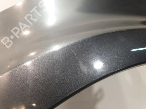 Left front fenders RENAULT CLIO III (BR0/1, CR0/1) 1.5 dCi (BR17, CR17) | BP32311760C41