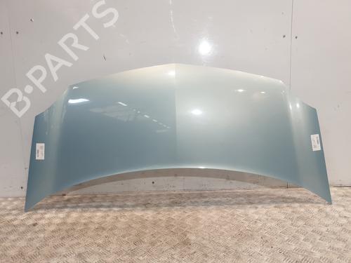 Used Hood RENAULT KANGOO / GRAND KANGOO II (KW0/1_) 1.5 dCi 90 (KW05, KW08, KW0G, KW11) (90 hp) 28601481