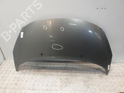 Used Hood PEUGEOT 207 CC (WD_) 1.6 16V (120 hp) 20378177