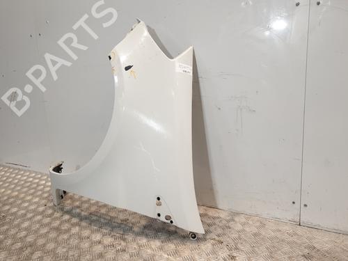Left front fenders RENAULT CLIO III (BR0/1, CR0/1) 1.5 dCi (BR17, CR17) | BP27673801C41 
