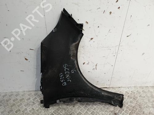 Left front fenders RENAULT SCÉNIC III (JZ0/1_) 1.5 dCi | BP20371947C41 