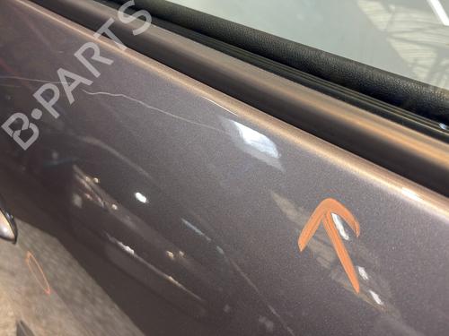 Right front door RENAULT SCÉNIC III (JZ0/1_) 1.5 dCi | BP29053711C3 