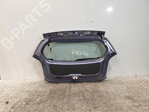 Tailgate NISSAN PIXO (UA0) 1.0 | BP20375161C6 