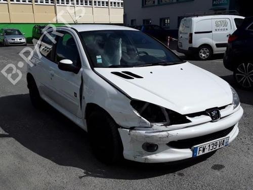 Left mirror PEUGEOT 206 Hatchback (2A/C) 1.4 HDi eco 70 | BP20383888C26 