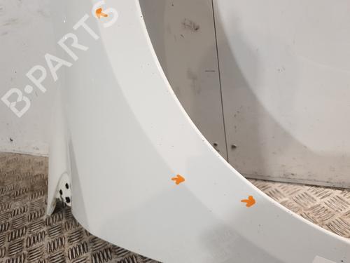 Right front fenders RENAULT MEGANE III Hatchback (BZ0/1_, B3_) 1.5 dCi (BZ0C) | BP25611593C42 