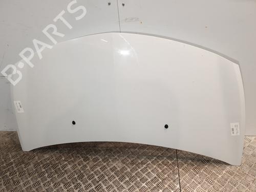 Used Hood RENAULT CLIO III Grandtour (KR0/1_) 1.6 16V (KR0B) (112 hp) 25729940