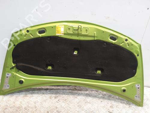 Hood RENAULT CLIO III (BR0/1, CR0/1) 1.5 dCi (C/BR0G, C/BR1G) | BP29053644C1 