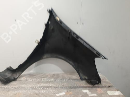 Left front fenders RENAULT CLIO III (BR0/1, CR0/1) 1.5 dCi (BR17, CR17) | BP32311760C41