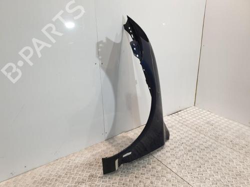 Left front fenders VW TOUAREG (7LA, 7L6, 7L7) 2.5 R5 TDI | BP20378317C41 