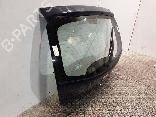 Tailgate DACIA SANDERO 1.2 16V | BP25447559C6