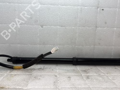 Tailgate lift support LEXUS RX (_L2_) 450h AWD (GYL25_, GYL26_, GYL25, GYL26, GYL25R, GYL26R) | BP33308783C138 - Image 3