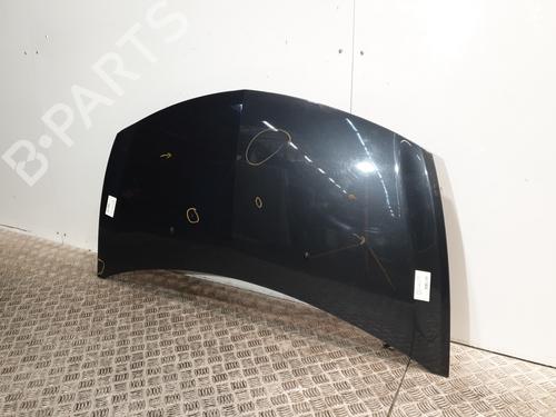 Hood RENAULT CLIO III (BR0/1, CR0/1) 1.2 16V Hi-Flex (BR1U, CR1U) | BP25820138C1 