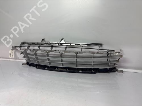 Grill Grill PEUGEOT 207 CC (WD_) 1.6 HDi (109 hp) 36057076 36057076
