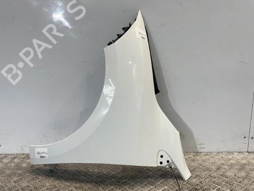 Left front fenders RENAULT MEGANE III Grandtour (KZ0/1) 1.5 dCi (KZ0C, KZ1A) | BP27658245C41 
