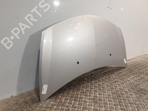 Hood RENAULT CLIO III (BR0/1, CR0/1) 1.5 dCi (C/BR0G, C/BR1G) | BP26191919C1 
