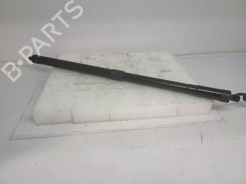 tailgate-lift-support-citroen-c4-picasso-ii-2013-37250808 main image
