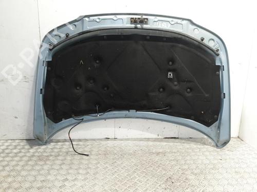 Hood LAND ROVER FREELANDER I (L314) 2.0 Td4 4x4 | BP20383724C1 