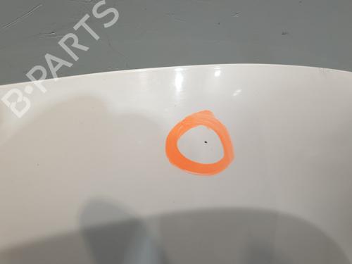 Hood DACIA DUSTER (HS_) 1.6 16V Hi-Flex | BP30146675C1 