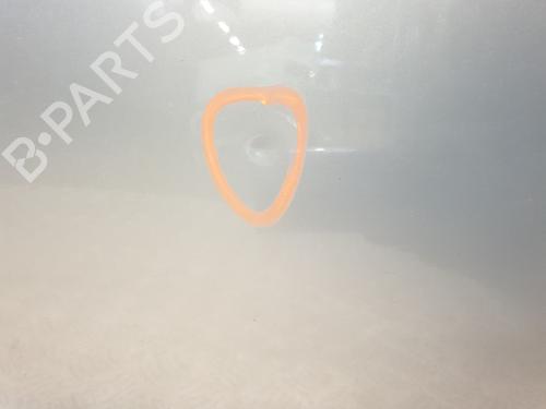 Right front door CITROËN C3 Pluriel (HB_) 1.4 | BP30191371C3