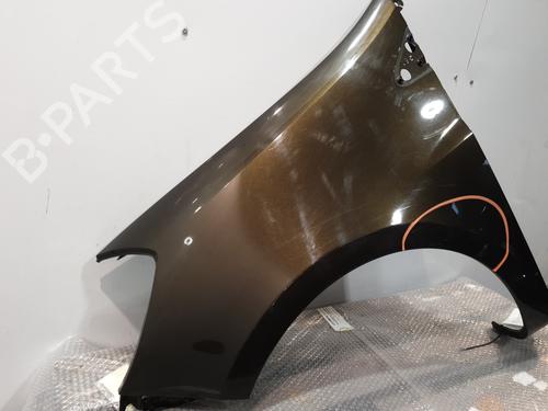 Left front fenders RENAULT CLIO III (BR0/1, CR0/1) 1.2 16V (BR02, BR0J, BR11, CR02, CR0J, CR11) | BP30193330C41 