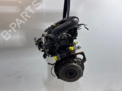 Used Engine Engine FORD FIESTA VI (CB1, CCN) 1.0 EcoBoost (100 hp) 40448507 40448507