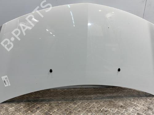 Used Hood RENAULT CLIO III (BR0/1, CR0/1) 1.5 dCi (75 hp) 20381293