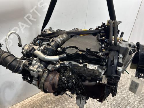 Engine RENAULT KANGOO Express (FW0/1_) | BP33700506M1 - Image 4