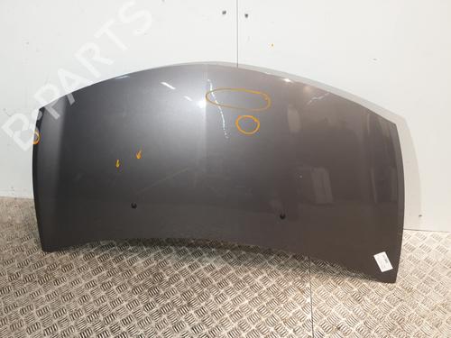 Used Hood RENAULT CLIO III (BR0/1, CR0/1) 1.5 dCi (C/BR0G, C/BR1G) (68 hp) 25130255