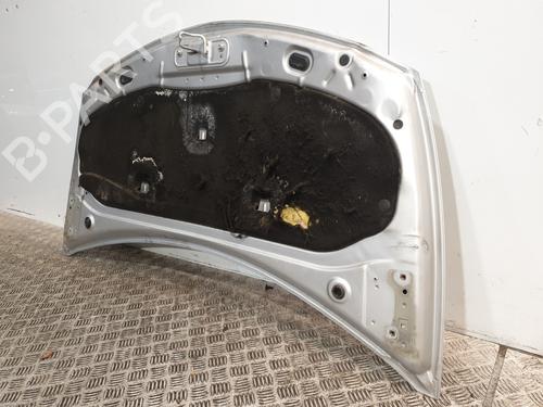 Hood RENAULT CLIO III (BR0/1, CR0/1) 1.5 dCi (C/BR0G, C/BR1G) | BP26191919C1 